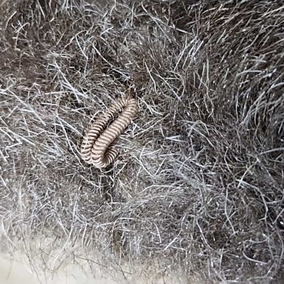 London Fog women's trench coat with fur trimming and lining tan Size: Pe… - Picture 6 of 9